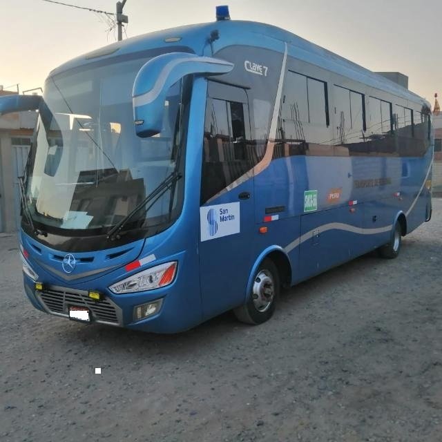 Bus 2019